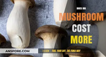 Mushroom Pricing: Does Size Matter?