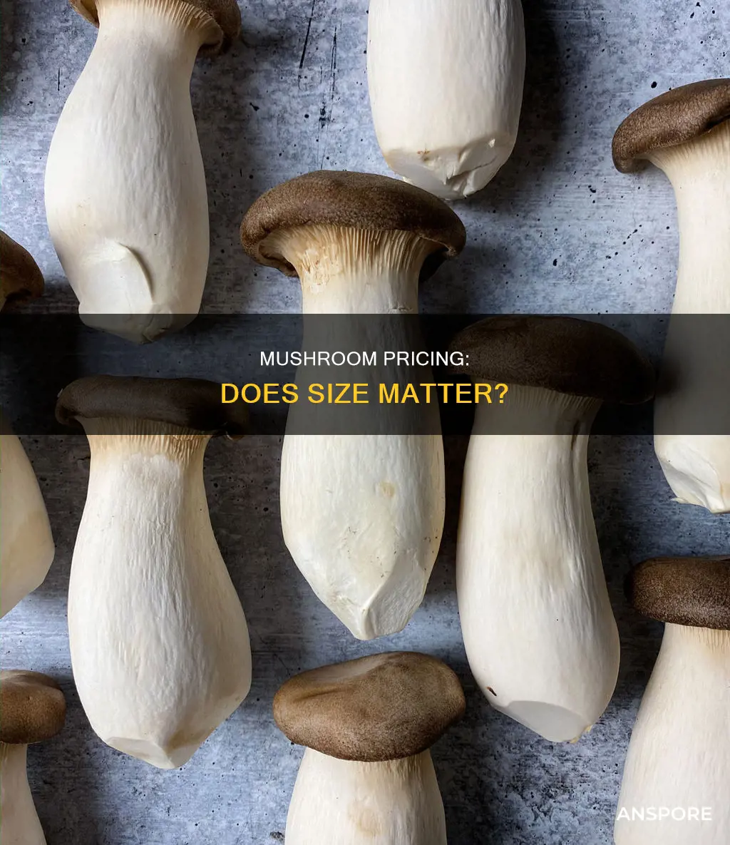 does big mushroom cost more