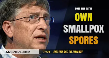 Does Bill Gates Own Smallpox Spores? Unraveling the Conspiracy Theory