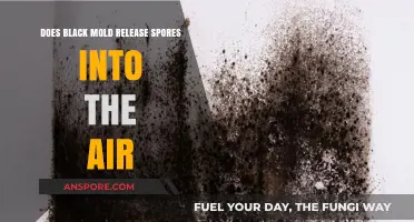 Does Black Mold Release Spores into the Air? Understanding the Risks