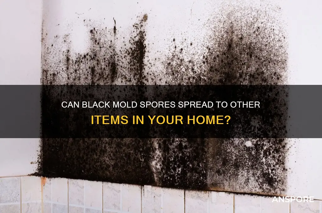 does black mold spread to other things by spores