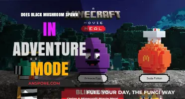 Adventure Mode: Where Do Black Mushrooms Spawn?