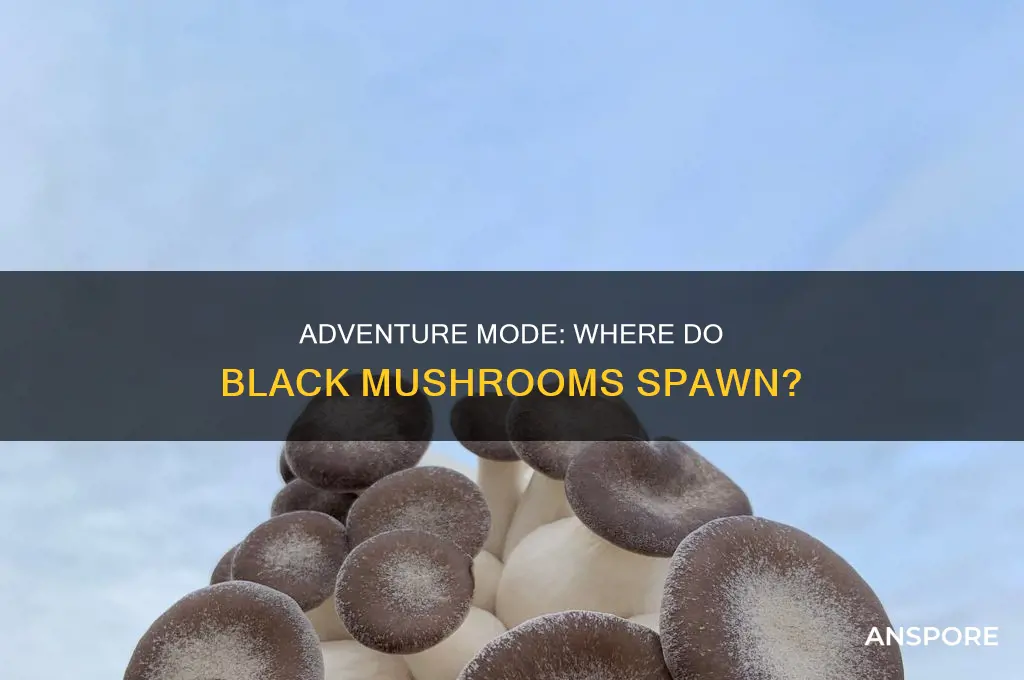 does black mushroom spawn in adventure mode
