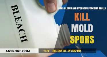 Bleach vs. Hydrogen Peroxide: Effective Mold Spores Killers or Myth?