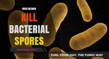 Does Bleach Kill Bacterial Spores? Uncovering the Truth Behind Disinfection