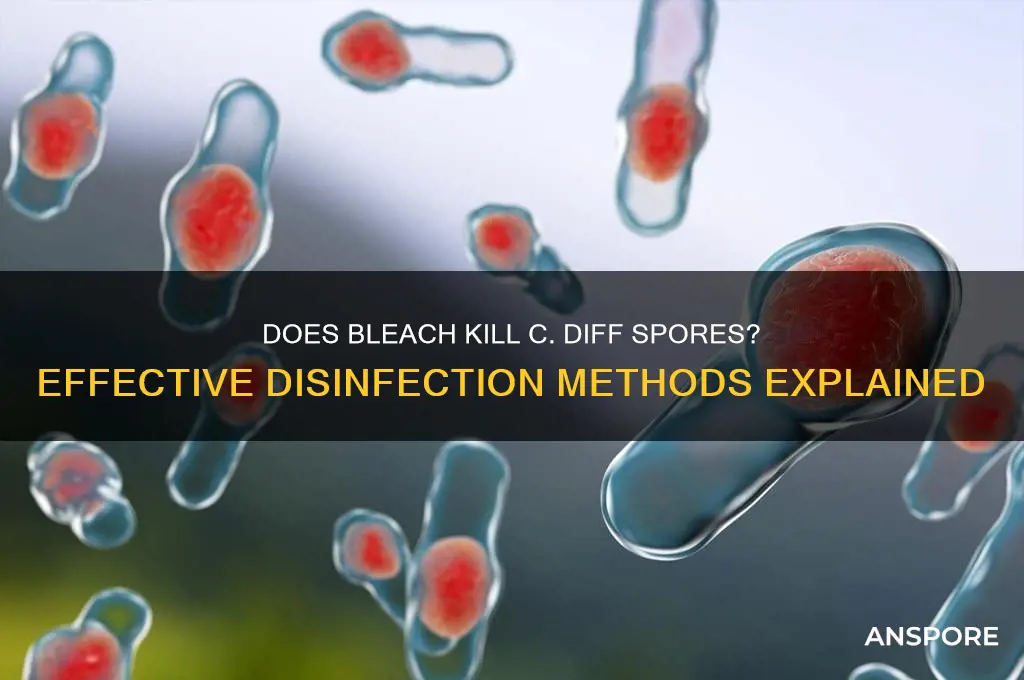 does bleach kill c diff spores