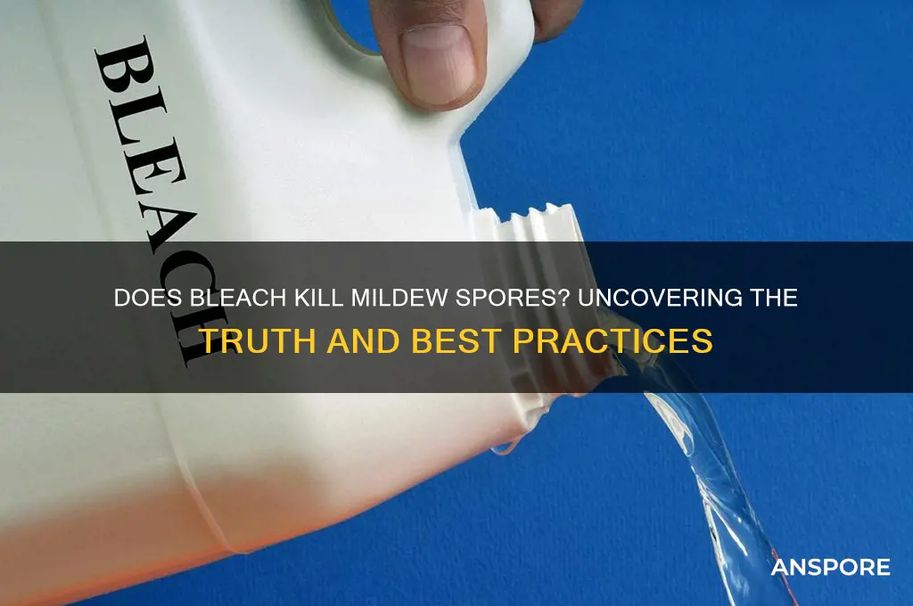 does bleach kill mildew spores