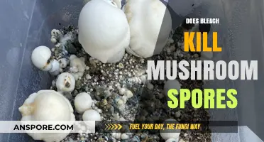 How Bleach Can Kill Mushroom Spores