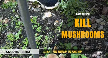 Bleach vs Mushrooms: The Ultimate Battle