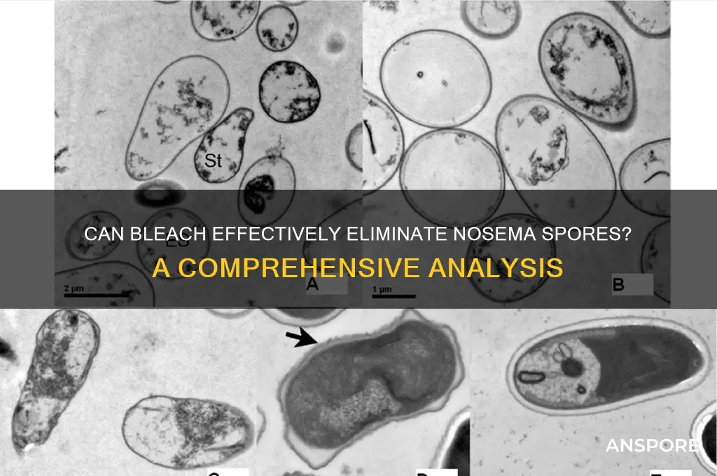 does bleach kill nosema spores