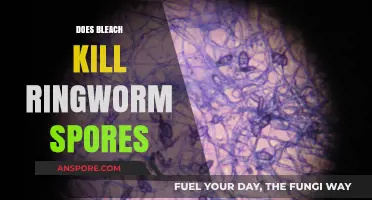 Does Bleach Kill Ringworm Spores? Effective Disinfection Methods Explained