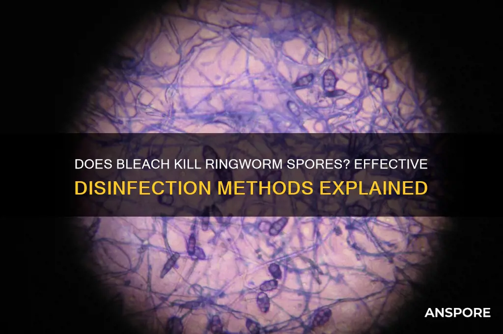 does bleach kill ringworm spores
