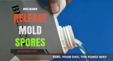 Does Bleach Release Mold Spores? Uncovering the Truth and Risks