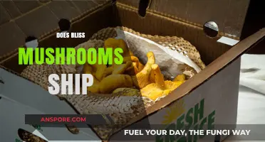 Blissful Convenience: Bliss Mushrooms' Shipping Service