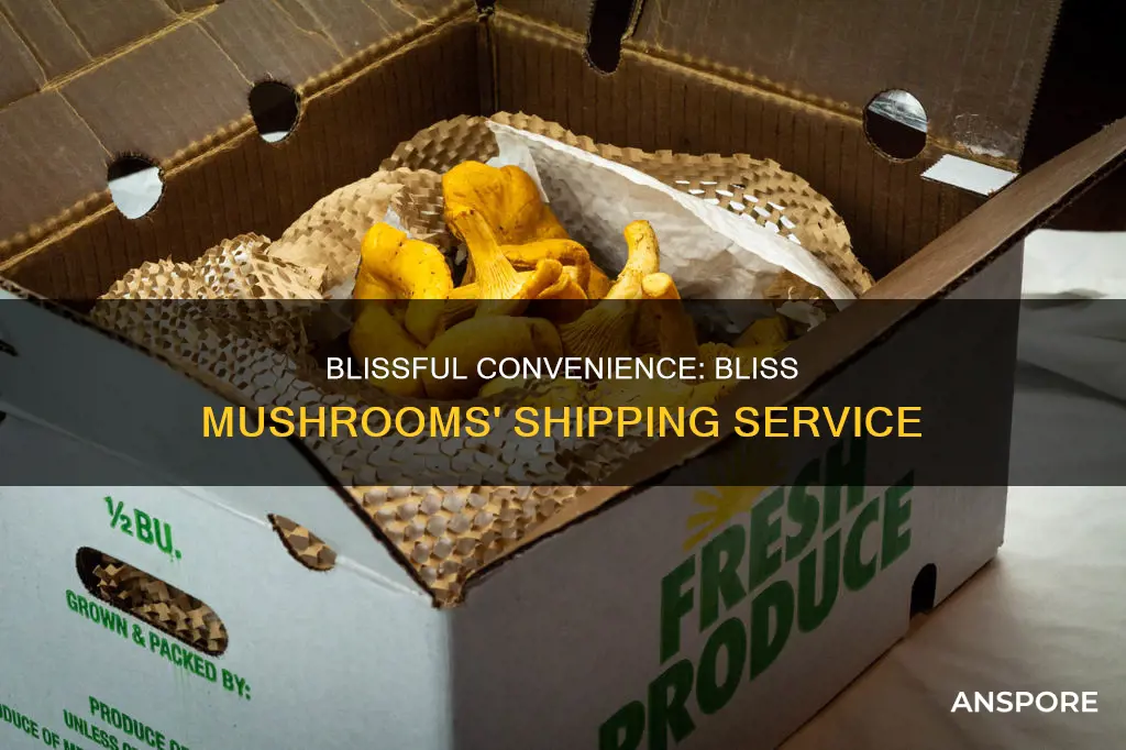 does bliss mushrooms ship