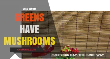 Bloom Greens: Mushroom Magic or Missing?