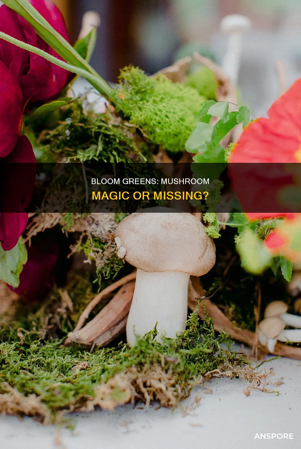 does bloom greens have mushrooms