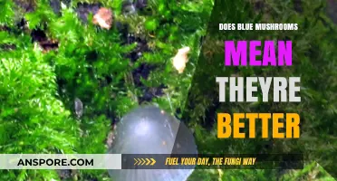Blue Mushrooms: Are They Superior?