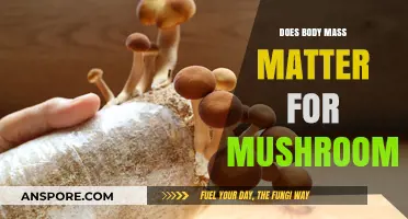 Body Mass and Mushroom: Does Size Really Matter?
