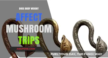 Body Weight and Mushroom Trips: What's the Connection?