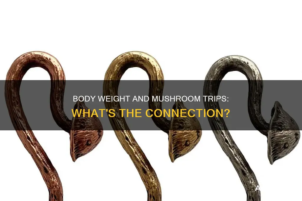 does body weight affect mushroom trips