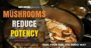 Boiling Mushrooms: Does It Affect Their Potency?