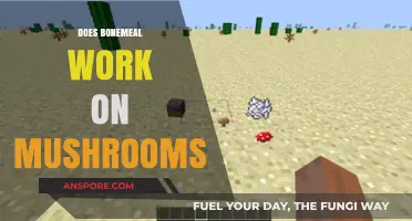 How to Use Bonemeal for Mushroom Growth
