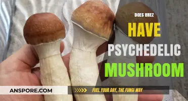 Brez and Shrooms: A Mind-Altering Mix?