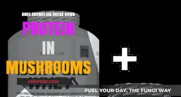 Bromelain's Impact on Mushroom Proteins