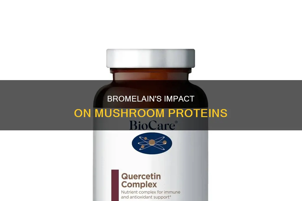 does bromelain break down protein in mushrooms