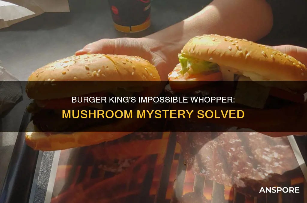 does burger king