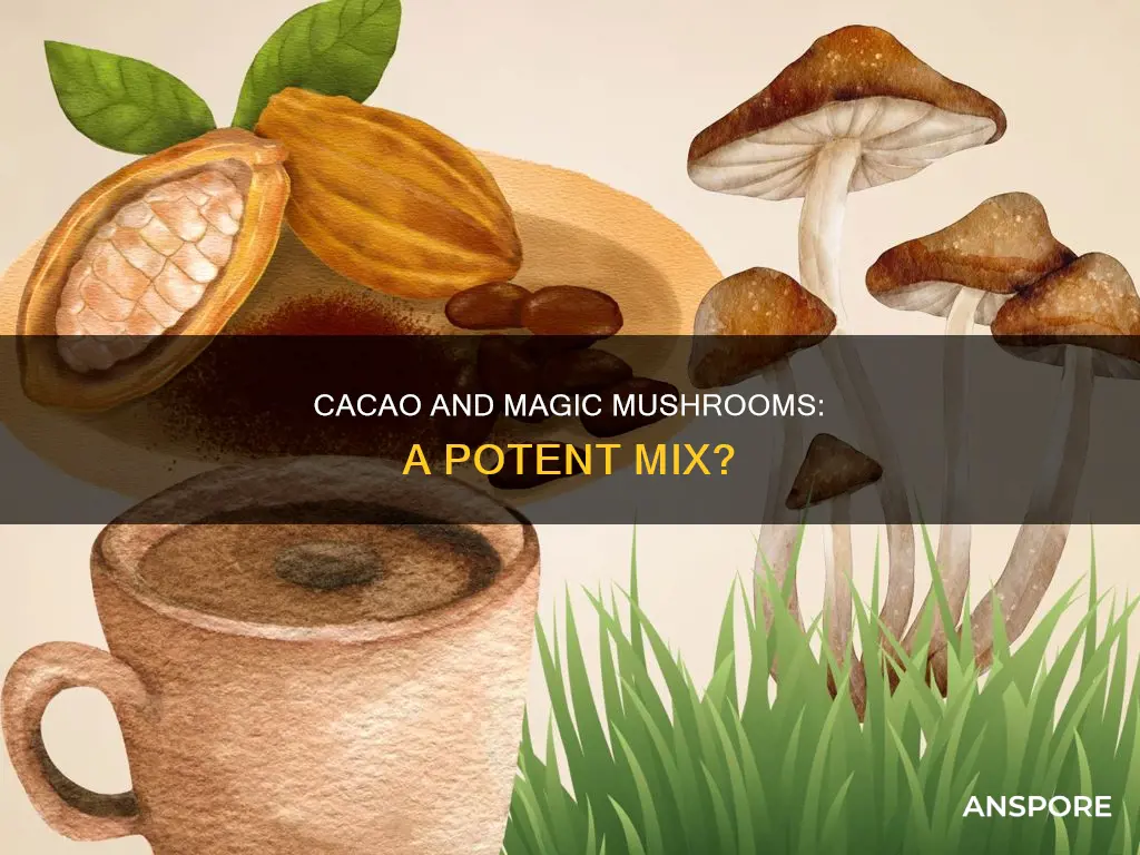does cacao potentiate mushrooms