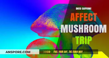 Caffeine and Shrooms: A Risky Mix?