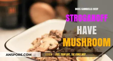 Campbell's Beef Stroganoff: Mushroom Mystery Solved