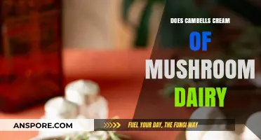 Campbell's Cream of Mushroom: Dairy or Not?