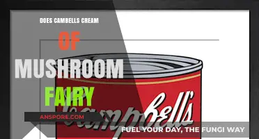 Campbell's Cream of Mushroom: A Magical Taste Experience