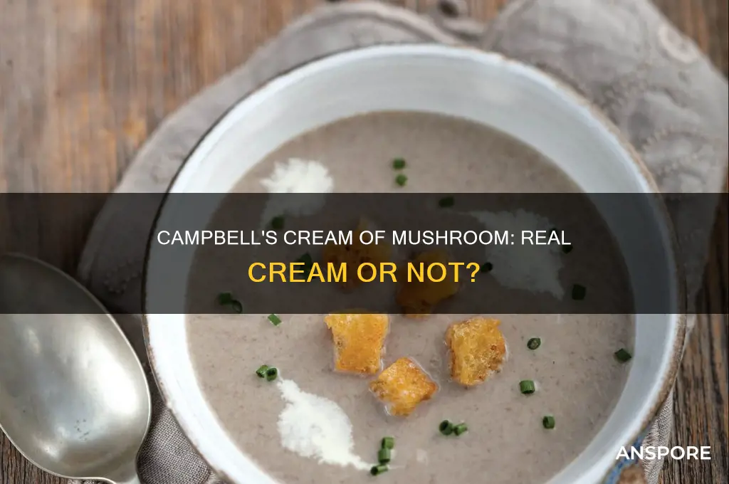 does campbell cream of mushroom have cream in it
