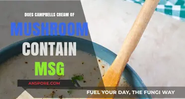 Campbell's Cream of Mushroom: Hidden MSG?