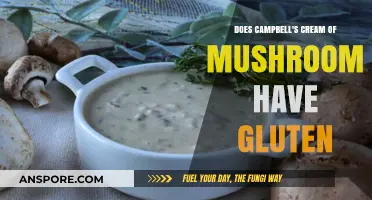 Is Campbell's Cream of Mushroom Soup Gluten-Free? Find Out Now