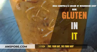 Is Campbell's Cream of Mushroom Soup Gluten-Free? Find Out Here