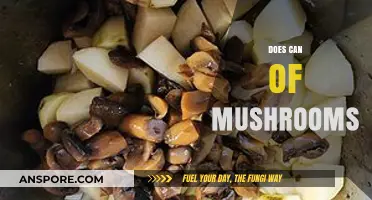 Exploring the Shelf Life and Uses of Canned Mushrooms in Cooking