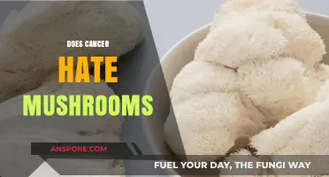 Mushrooms: Cancer's Worst Enemy?