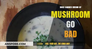 Does Canned Cream of Mushroom Expire? Shelf Life Explained