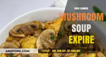 Does Canned Mushroom Soup Expire? Shelf Life and Safety Tips