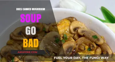 Does Canned Mushroom Soup Expire? Shelf Life and Safety Tips
