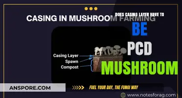 PCD Mushrooms: The Ultimate Casing Layer Solution?