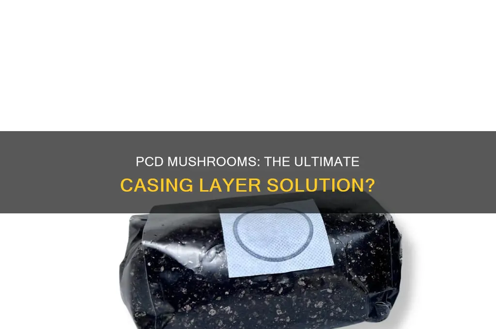 does casing layer have to be pcd mushrooms