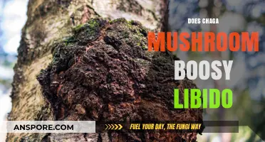Chaga Mushroom: Libido Supercharger or Myth?