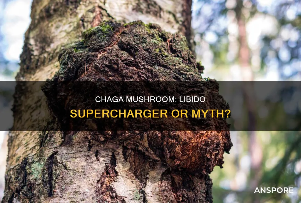 does chaga mushroom boosy libido
