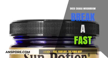 Chaga Mushroom: Friend or Foe of Fasting?